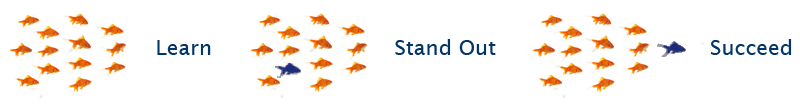 School of Fish - Learn, Stand Out, Succeed